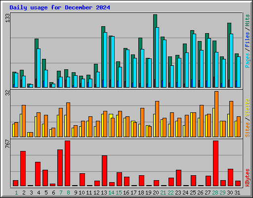 Daily usage for December 2024