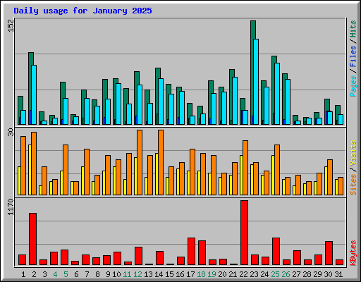 Daily usage for January 2025