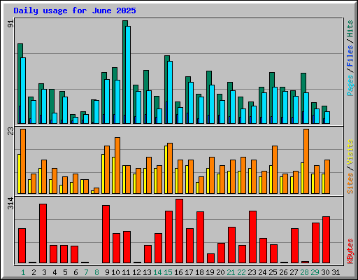 Daily usage for June 2025