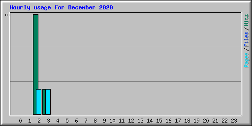 Hourly usage for December 2020