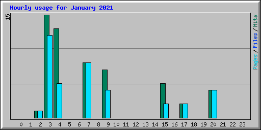 Hourly usage for January 2021