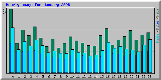 Hourly usage for January 2023