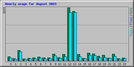 Hourly usage for August 2023