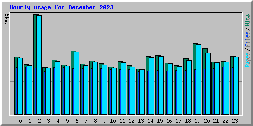 Hourly usage for December 2023