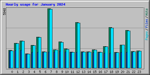 Hourly usage for January 2024