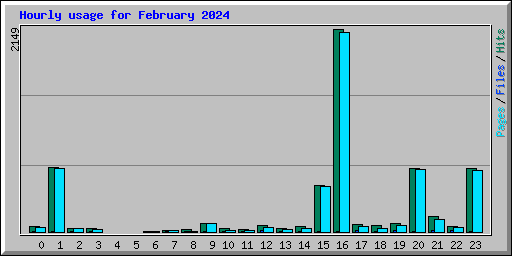 Hourly usage for February 2024