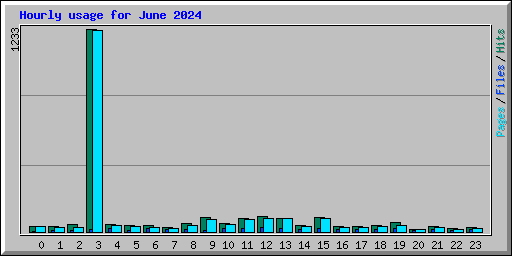 Hourly usage for June 2024