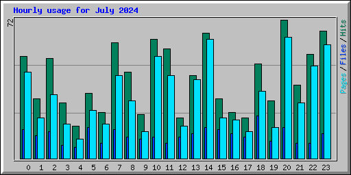Hourly usage for July 2024