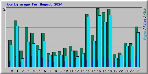 Hourly usage for August 2024