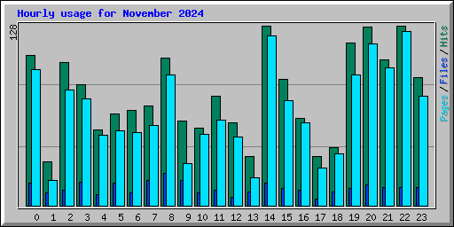Hourly usage for November 2024