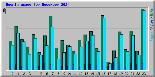 Hourly usage for December 2024