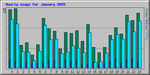 Hourly usage for January 2025
