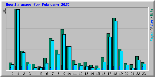 Hourly usage for February 2025