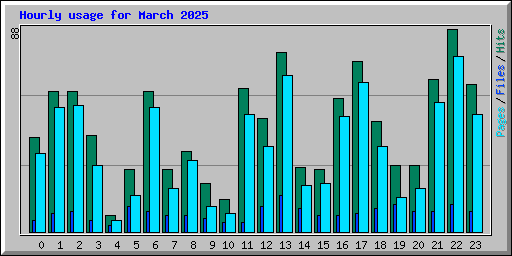 Hourly usage for March 2025