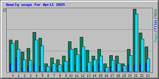 Hourly usage for April 2025
