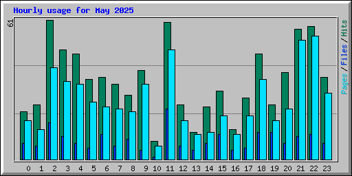 Hourly usage for May 2025