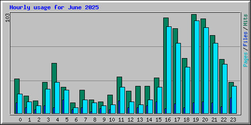 Hourly usage for June 2025