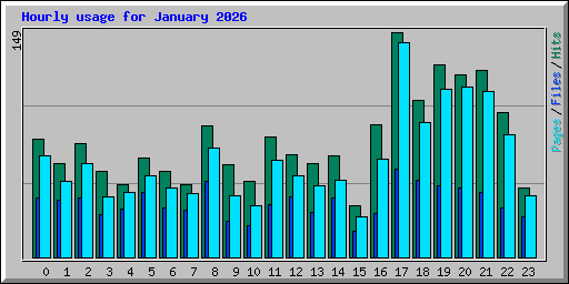 Hourly usage for January 2026